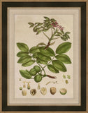 Millers Bounty VI