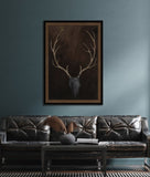 Buck