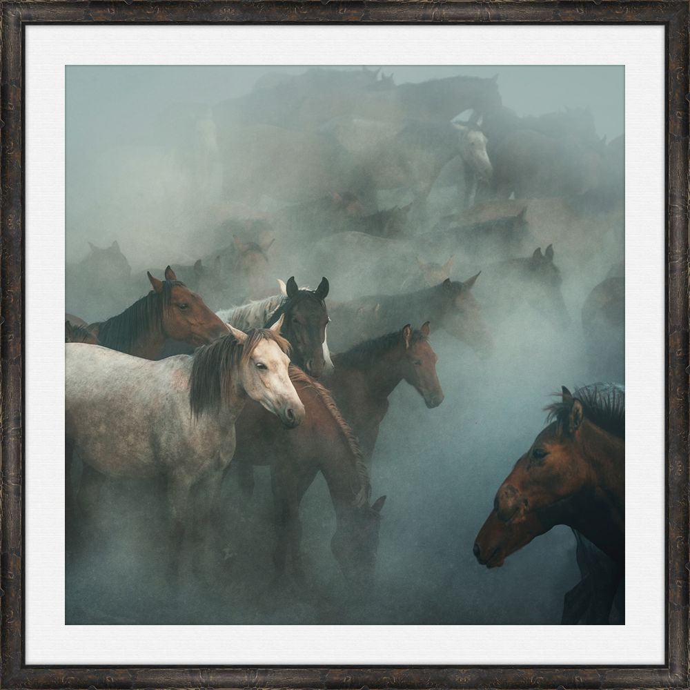 Task n-Lost Horses
