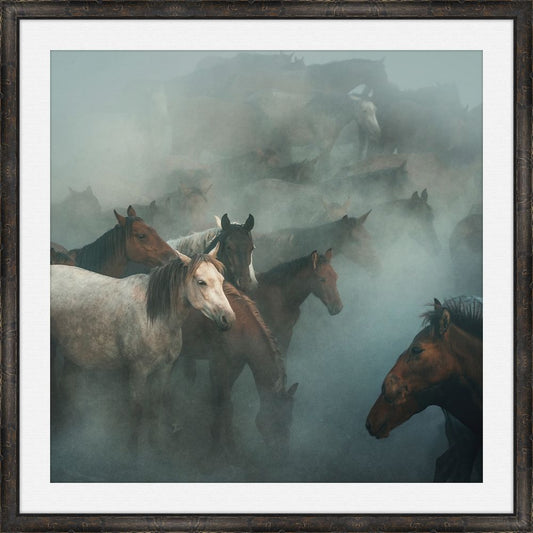 Task n-Lost Horses