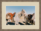 Two Saddle Horses I