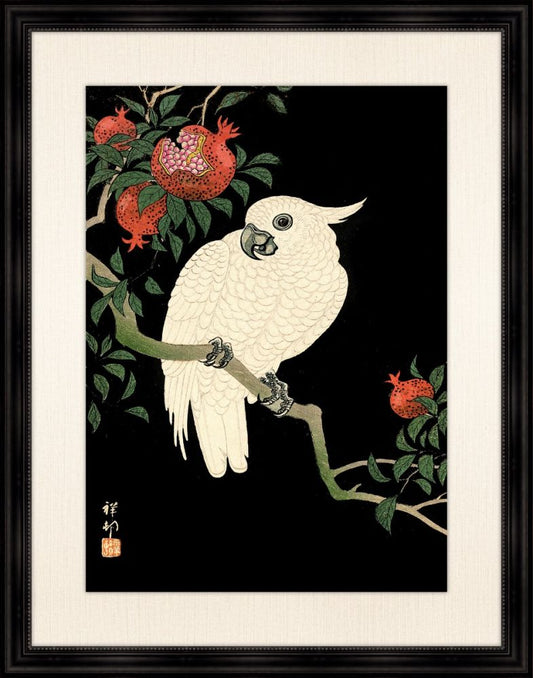 Cockatoo and Pomegranate I