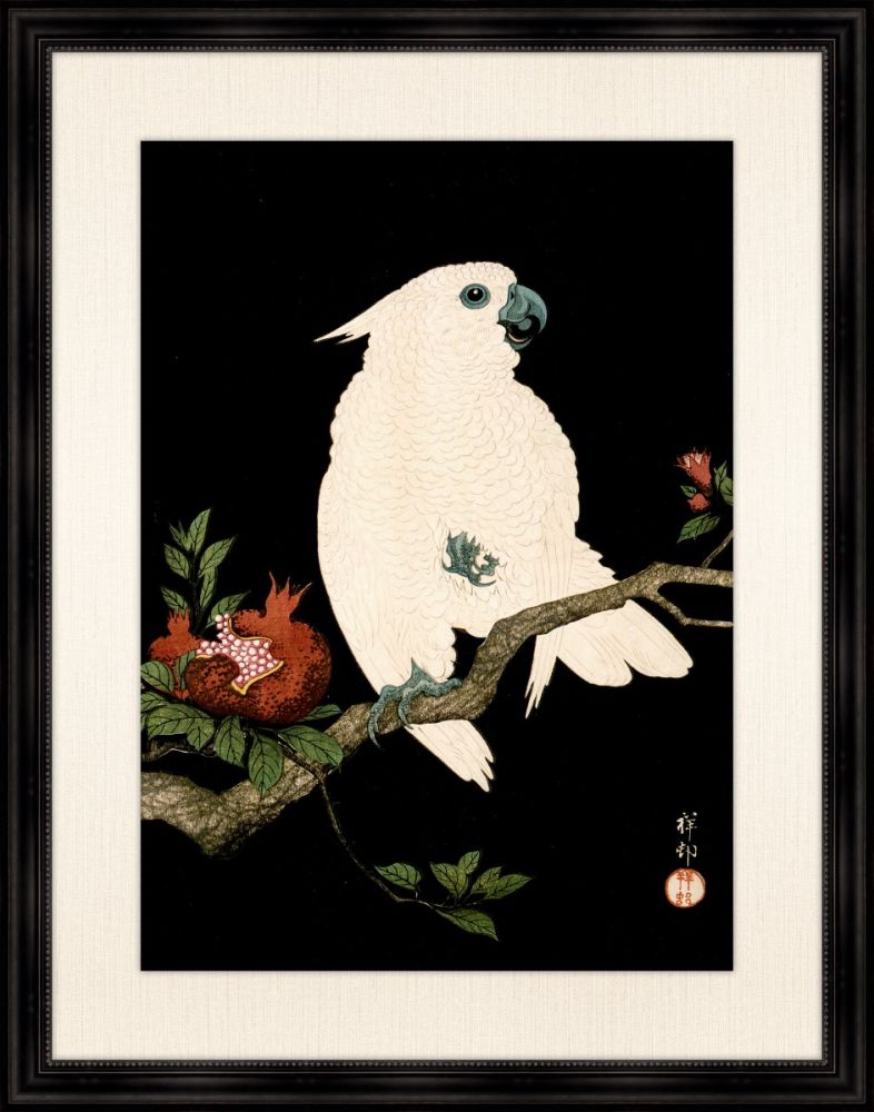 Cockatoo and Pomegranate II