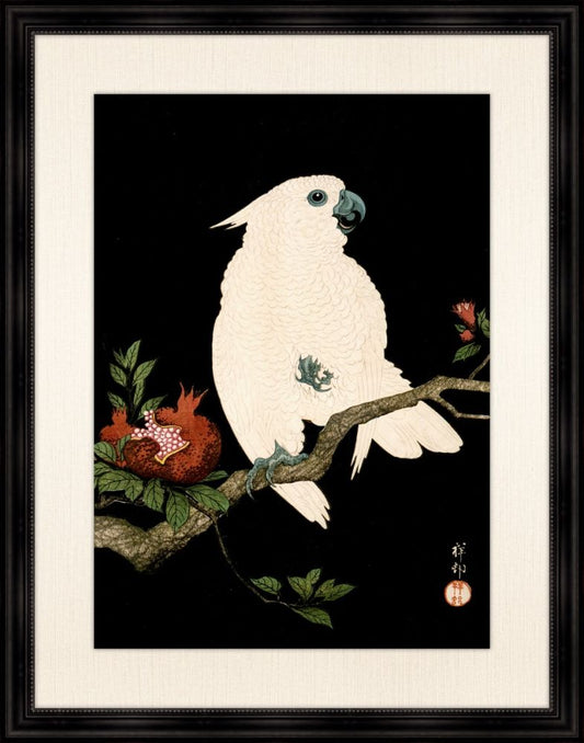 Cockatoo and Pomegranate II
