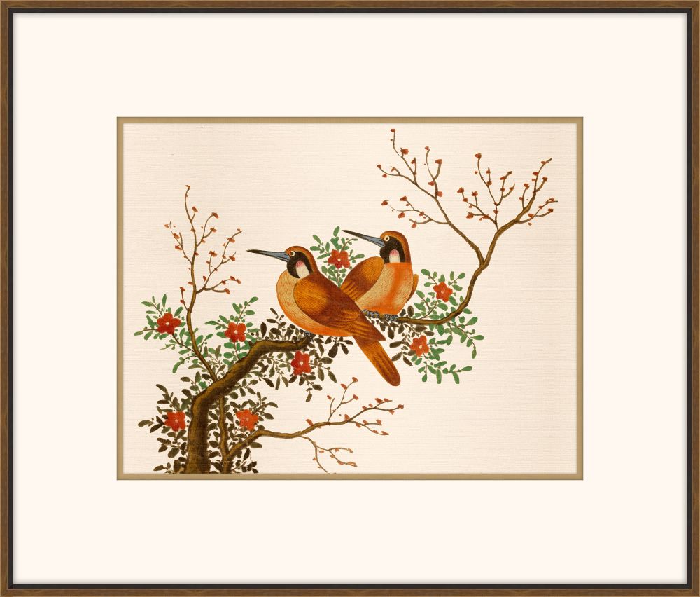 Exquisite Birds of Asia II