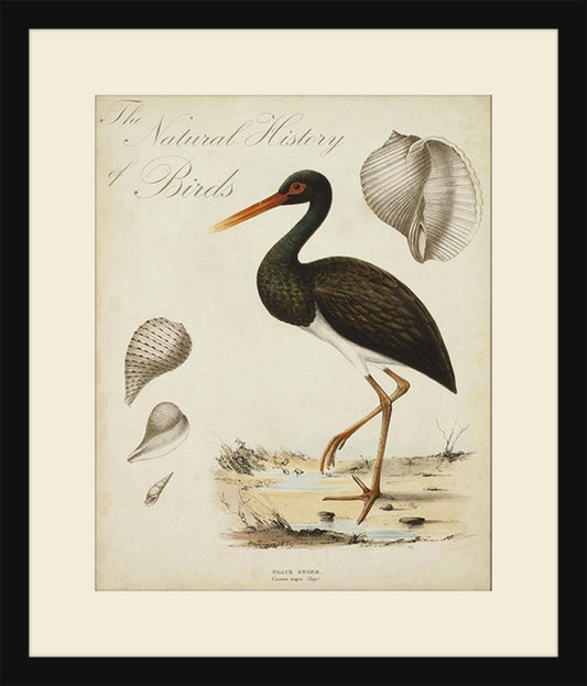 Heron Anthology I