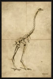 DINORNIZES