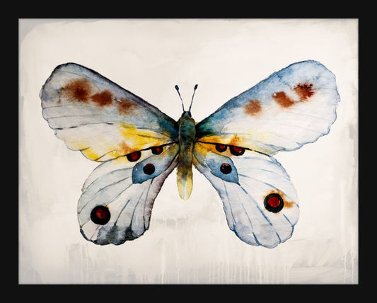 Mariposa I Petite