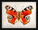 Mariposa II Petite
