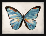 Mariposa IV Petite