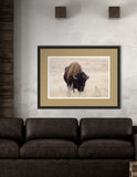 Bison I