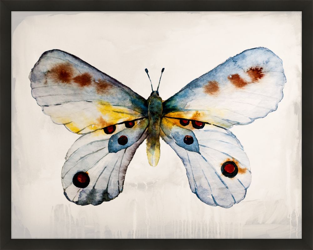 Mariposa I