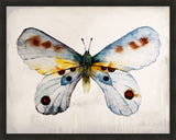 Mariposa I