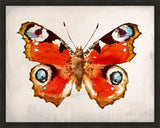 Mariposa II