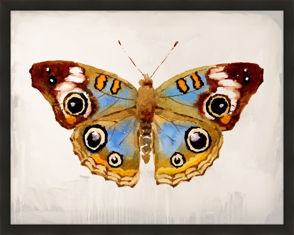 Mariposa III