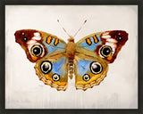 Mariposa III