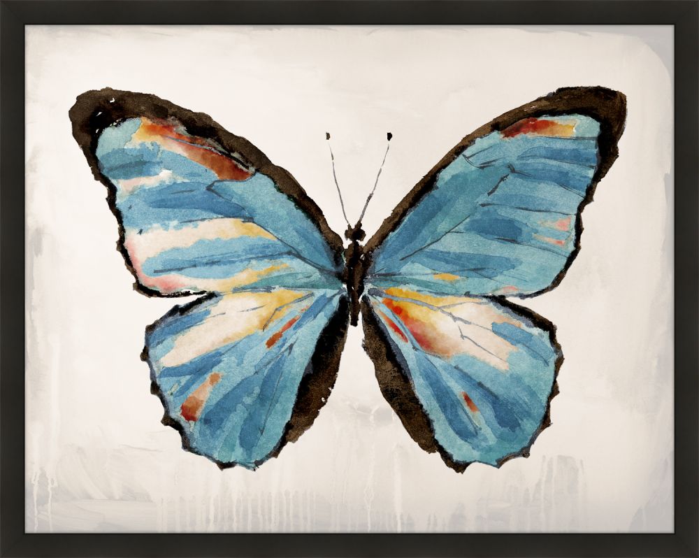 Mariposa IV