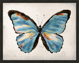 Mariposa IV