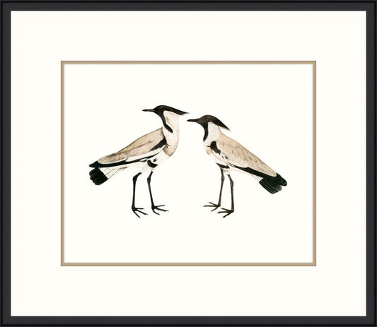 Sea Birds I