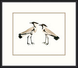 Sea Birds I