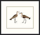 Sea Birds II