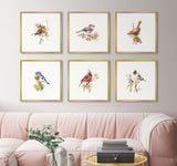 Watercolor Songbirds - Set of 6