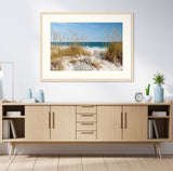 Beach Fences I