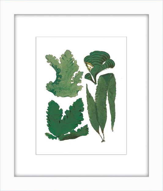 Green Sealife I