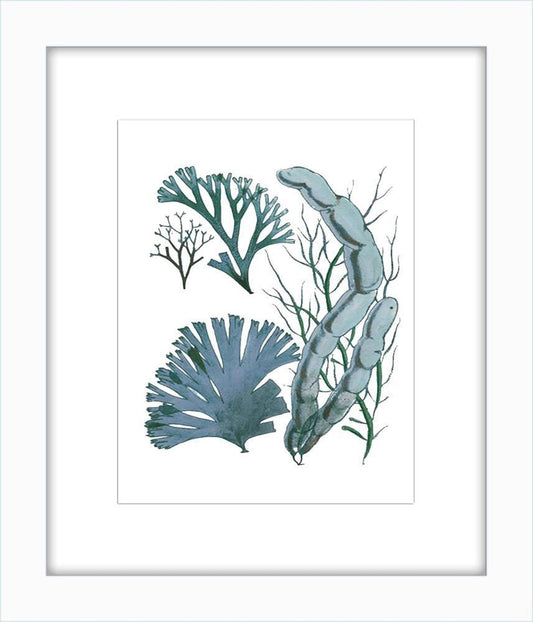 Blue Sealife I