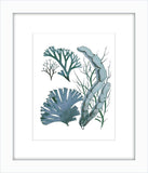 Blue Sealife I
