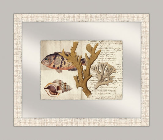 Sealife Journal I