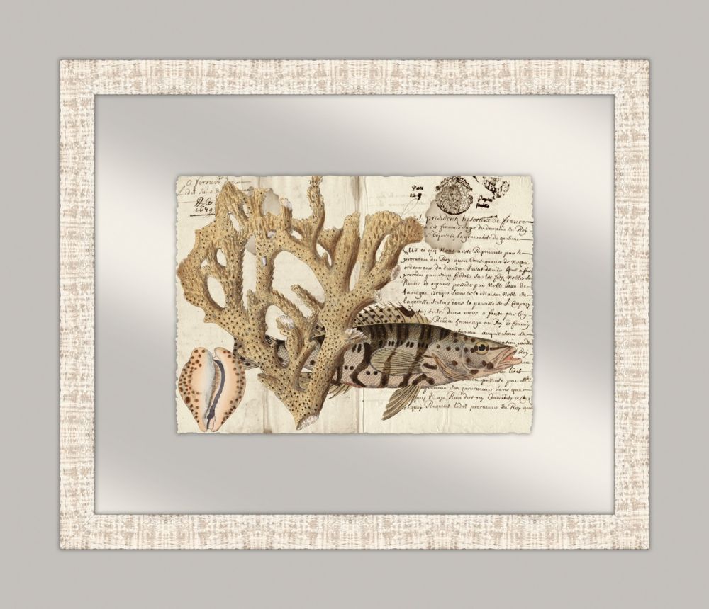 Sealife Journal II