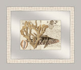 Sealife Journal II