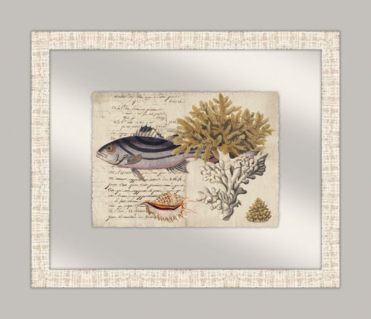 Sealife Journal III