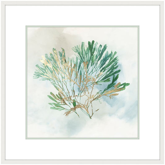 Green Coral III