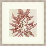 Brilliant Seaweed I