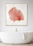 Crimson Coral I