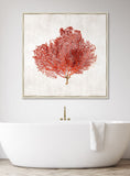 Crimson Coral II
