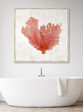 Crimson Coral III