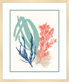 Sea Grass Collage I