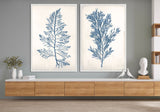 Bradbury Sea Grass I Blue