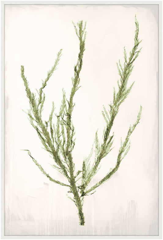 Bradbury Sea Grass IV Green