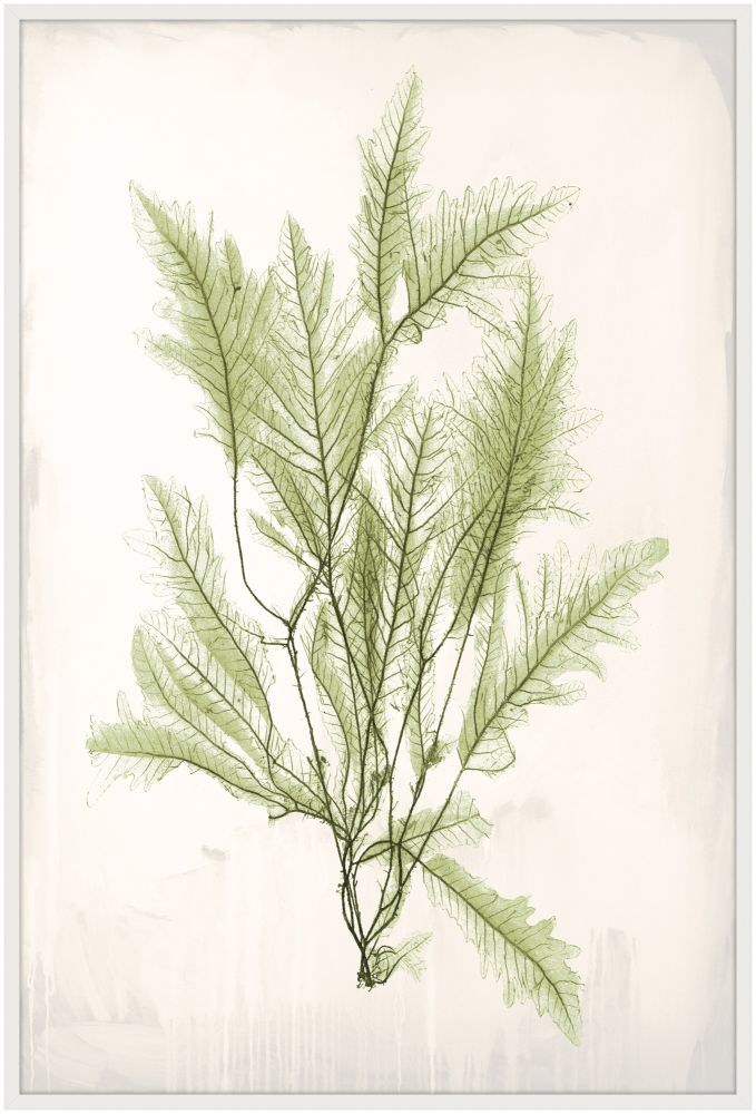 Bradbury Sea Grass V Green