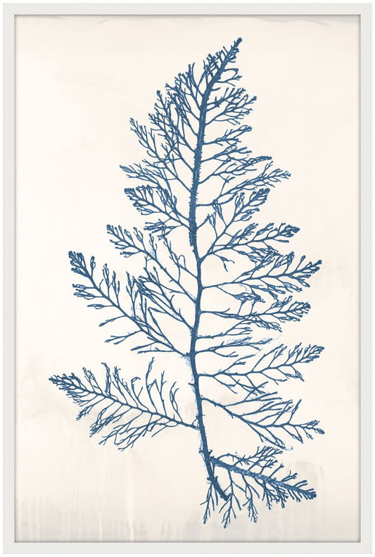 Bradbury Sea Grass I Blue Petite