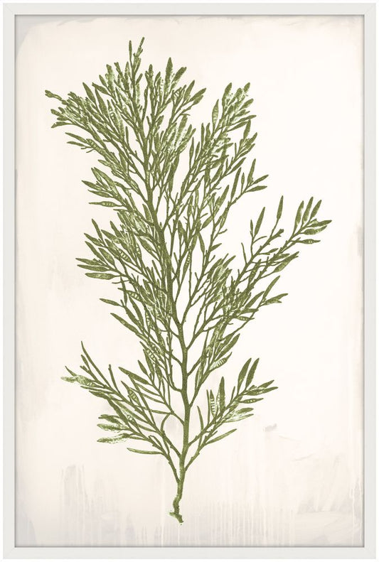 Bradbury Sea Grass II Green Petite
