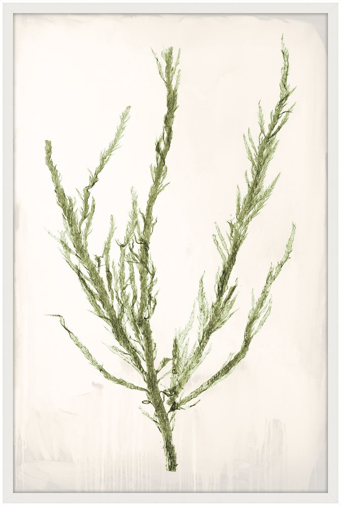 Bradbury Sea Grass IV Green Petite
