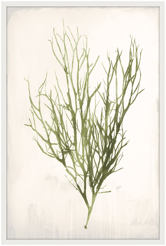Bradbury Sea Grass VI Green Petite