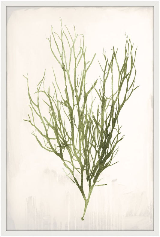 Bradbury Sea Grass VI Green Petite