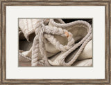 Sail and Rope IV