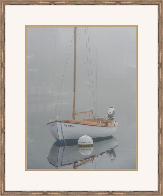 Foggy Morning